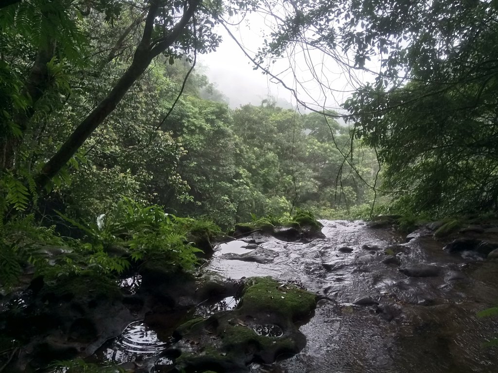 DSC_8449.JPG - 深坑  炮子崙登山步道