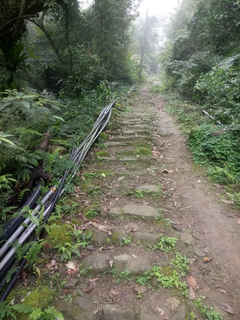 DSC_6188.JPG - 三峽  白雞山登山步道