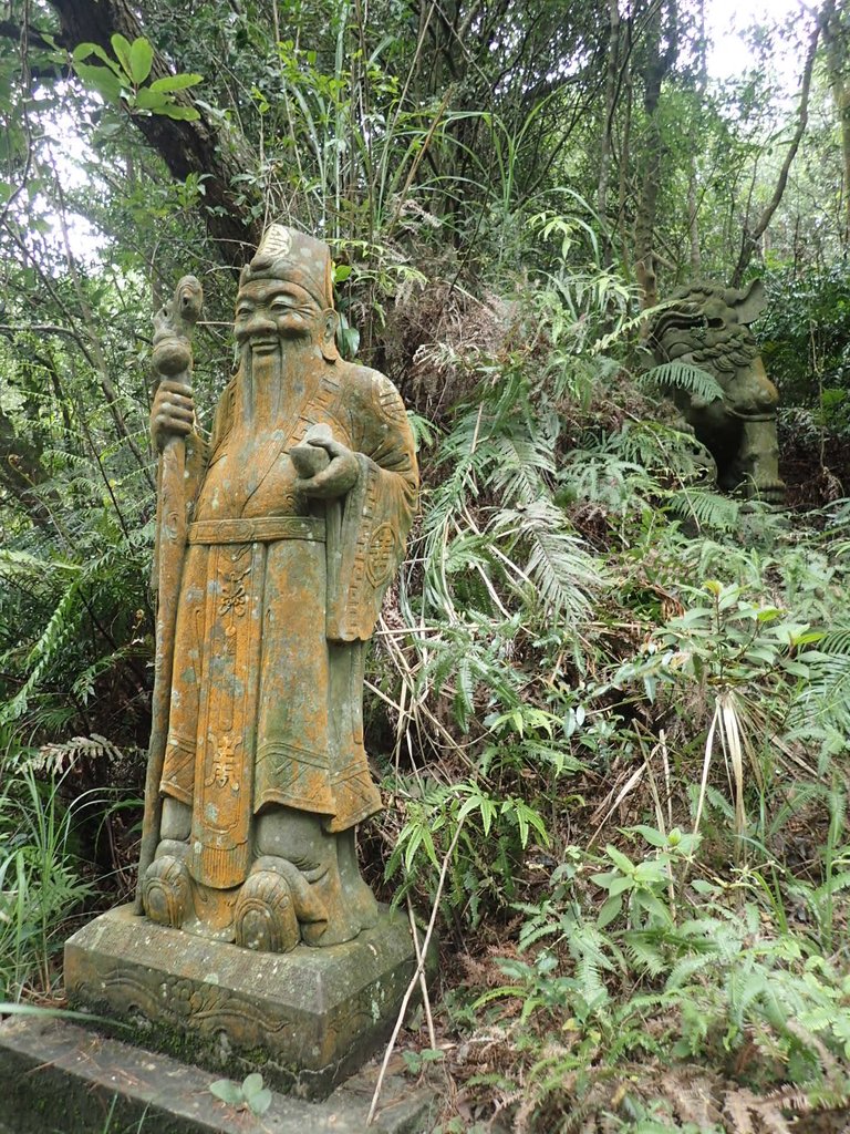 P2288669.JPG - 內湖  大崙頭山