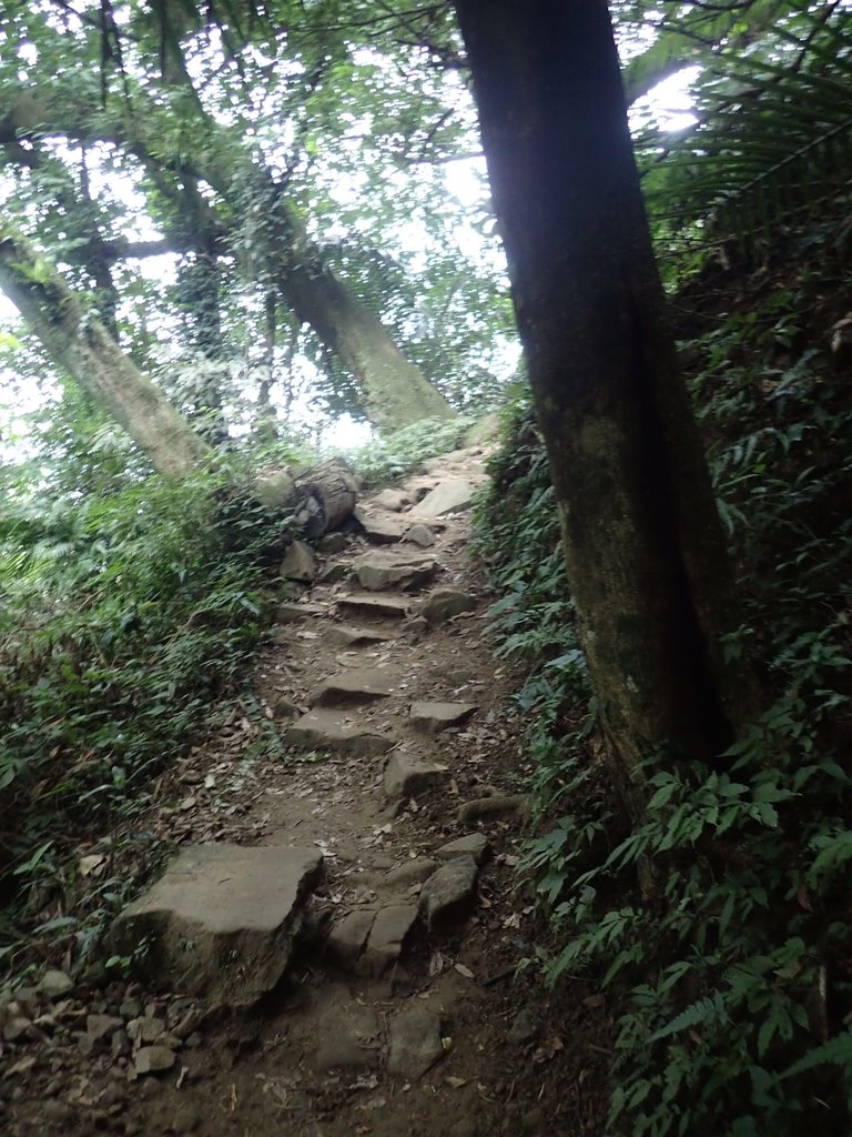 P2107475.JPG - 大溪  溪洲山登山步道