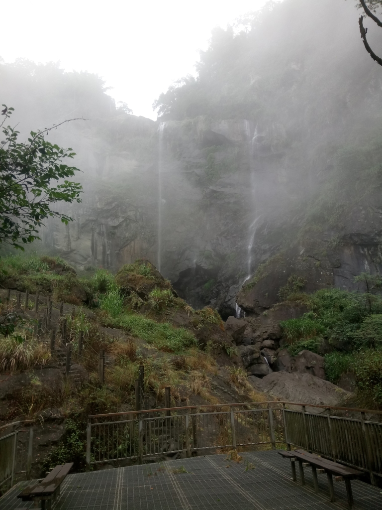 DSC_1171.JPG - 草嶺  蓬萊瀑布步道