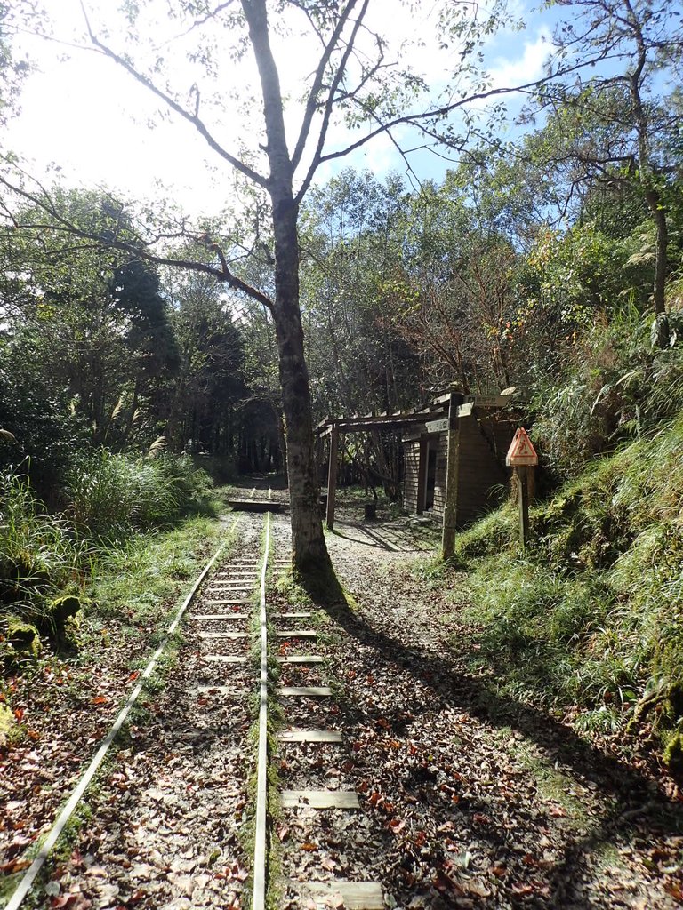 PB265481.JPG - 太平山  翠峰湖環山步道  02