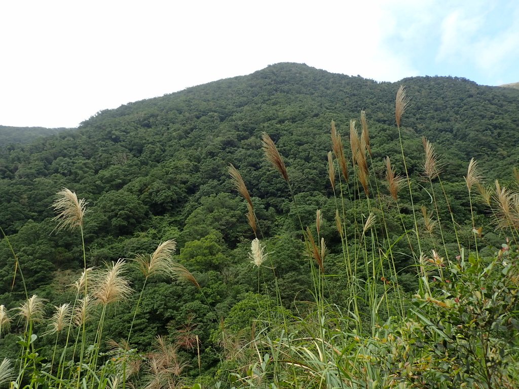 PB159003.JPG - 礁溪  聖母登山步道  (抹茶山)