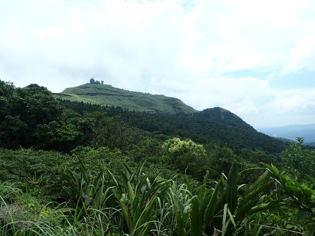 P7203889.JPG - 瑞芳  五分山登山步道