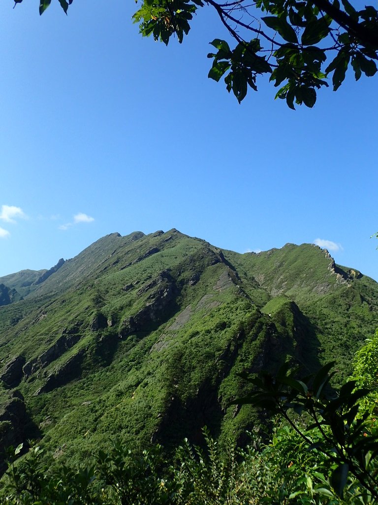 PA104836.JPG - 秋晴  南子吝山  登龍尾坪