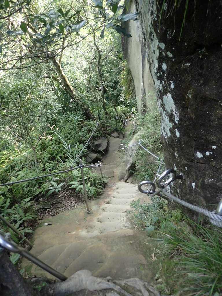 P1224302.JPG - 再訪---  平溪  孝子山登山步道