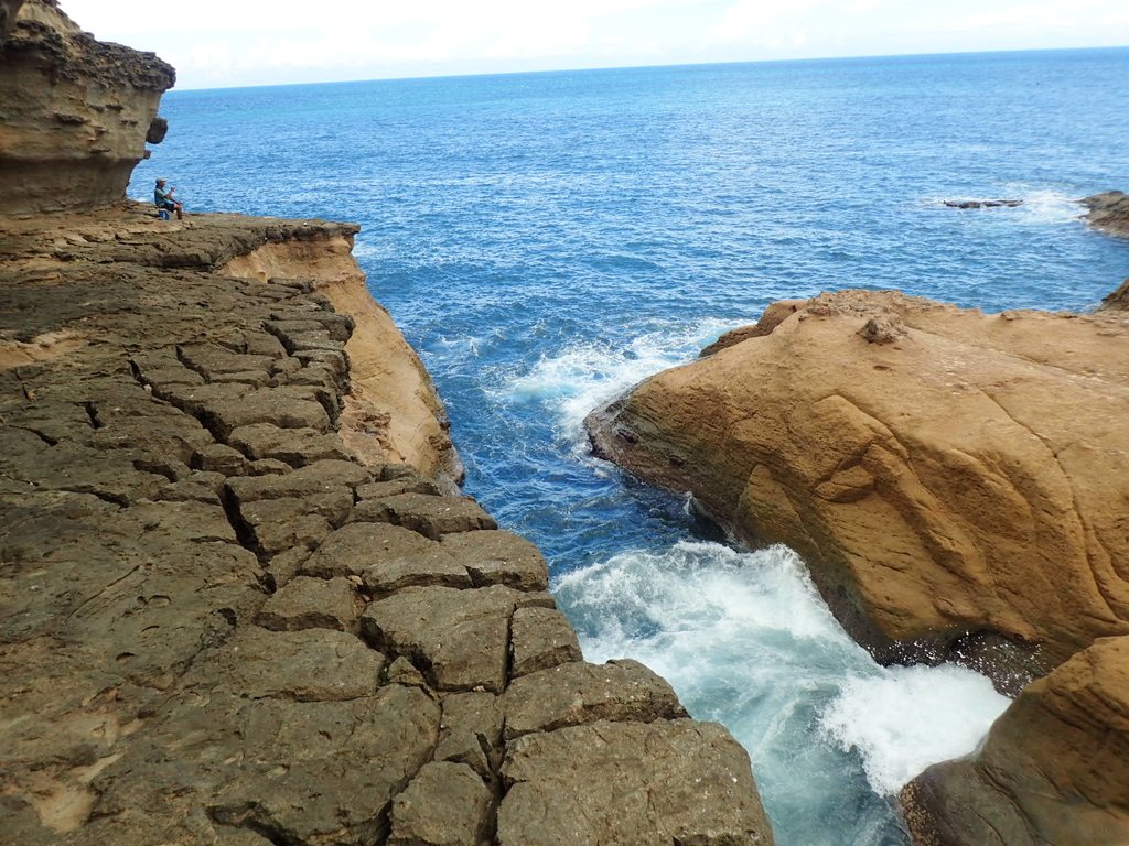 P8317664.JPG - 瑞芳  金石園  海岸岩石之美