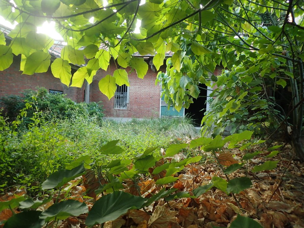 PA196485.JPG - 記憶廢墟  (357)