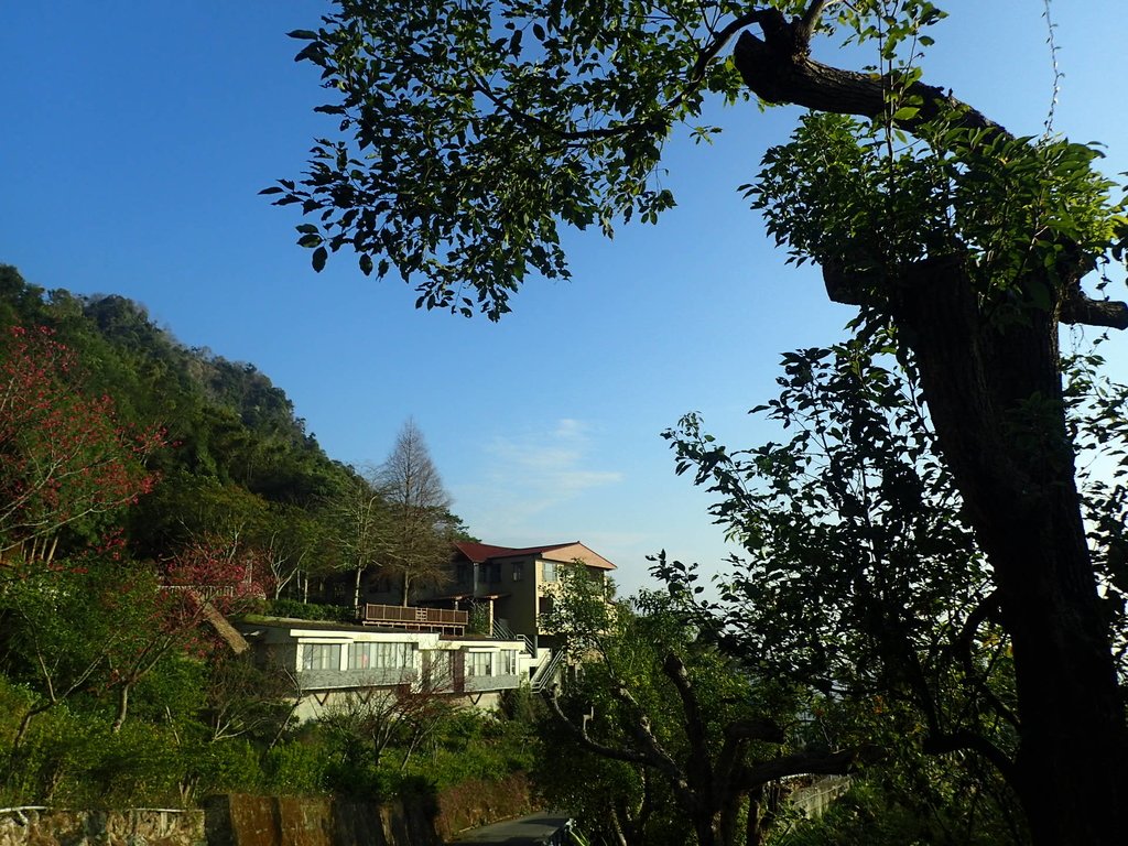 P2276010.JPG - 太平  暗影山(酒桶山)