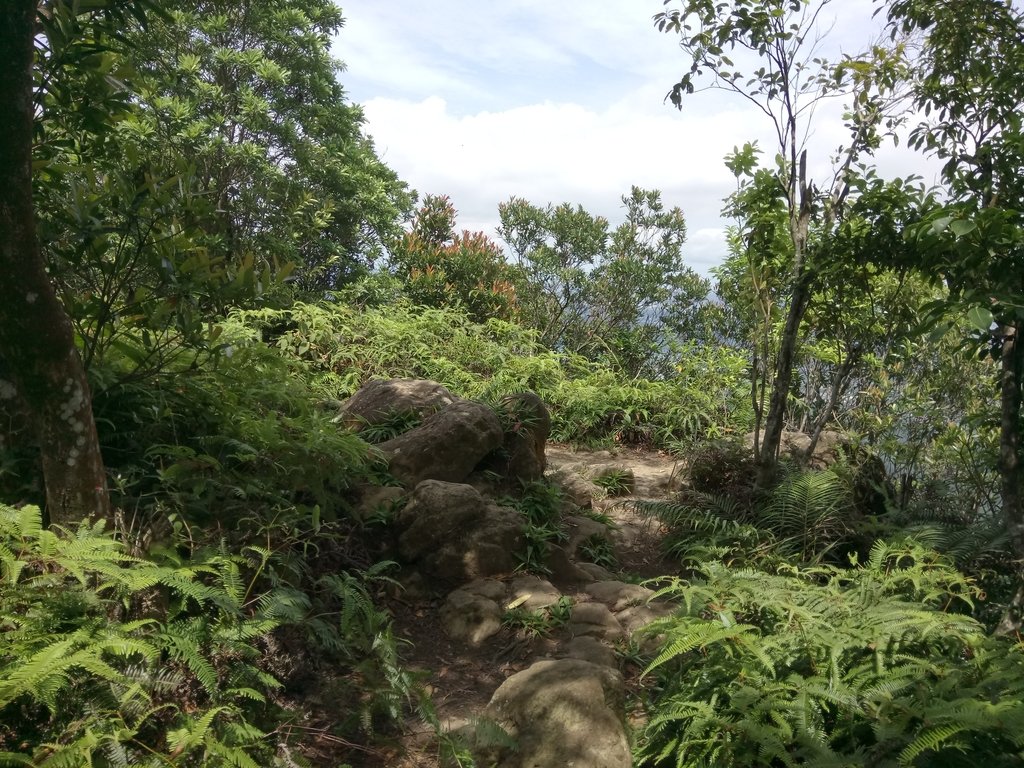 DSC_2989.JPG - 大溪  金面山登山步道