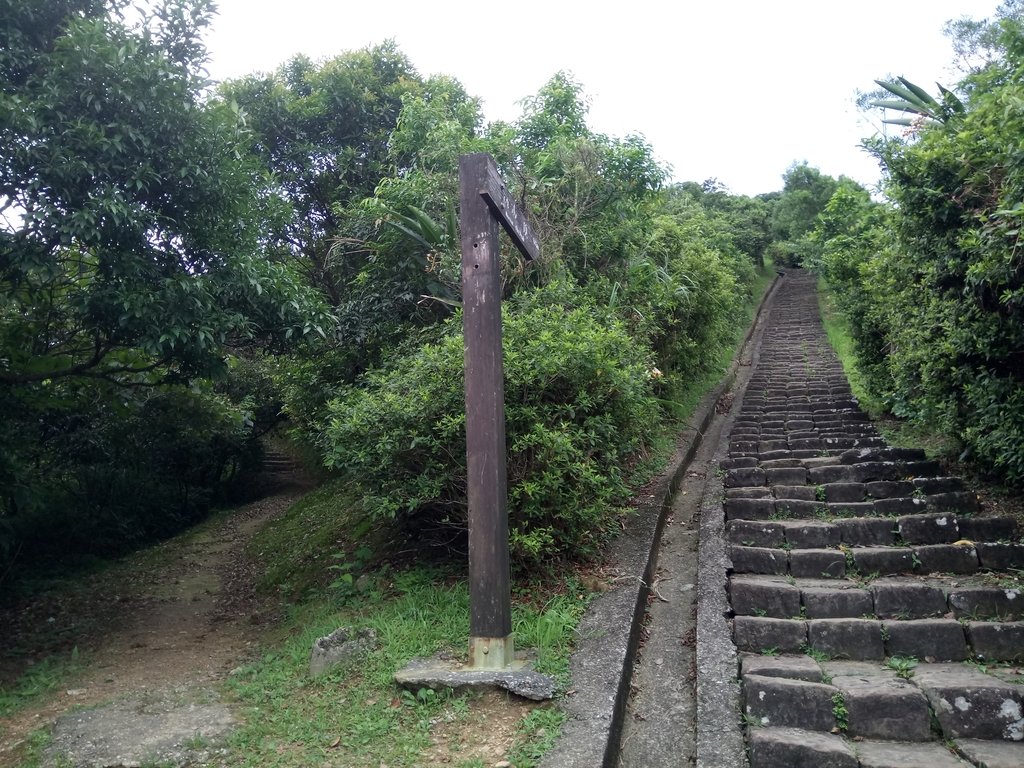 DSC_0840.JPG - 瑞芳  雞籠山登山步道