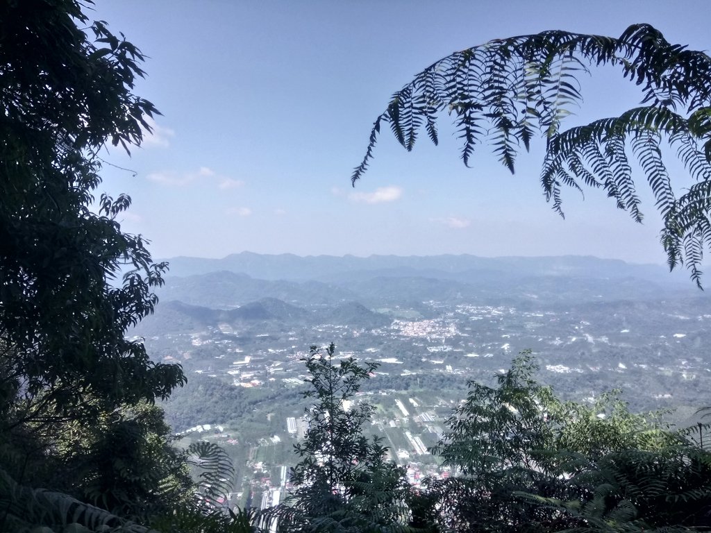 DSC_4041.JPG - 魚池  過坑山登山步道