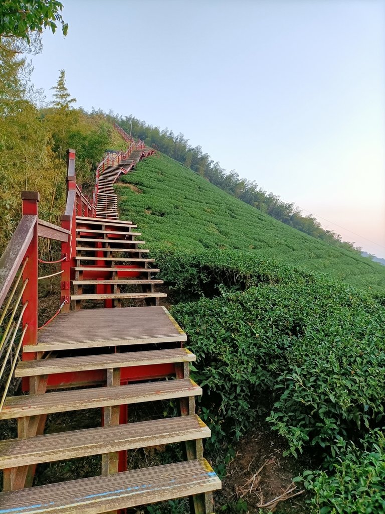 IMG20210130064655.jpg - 雲嘉  大尖山  二尖山步道