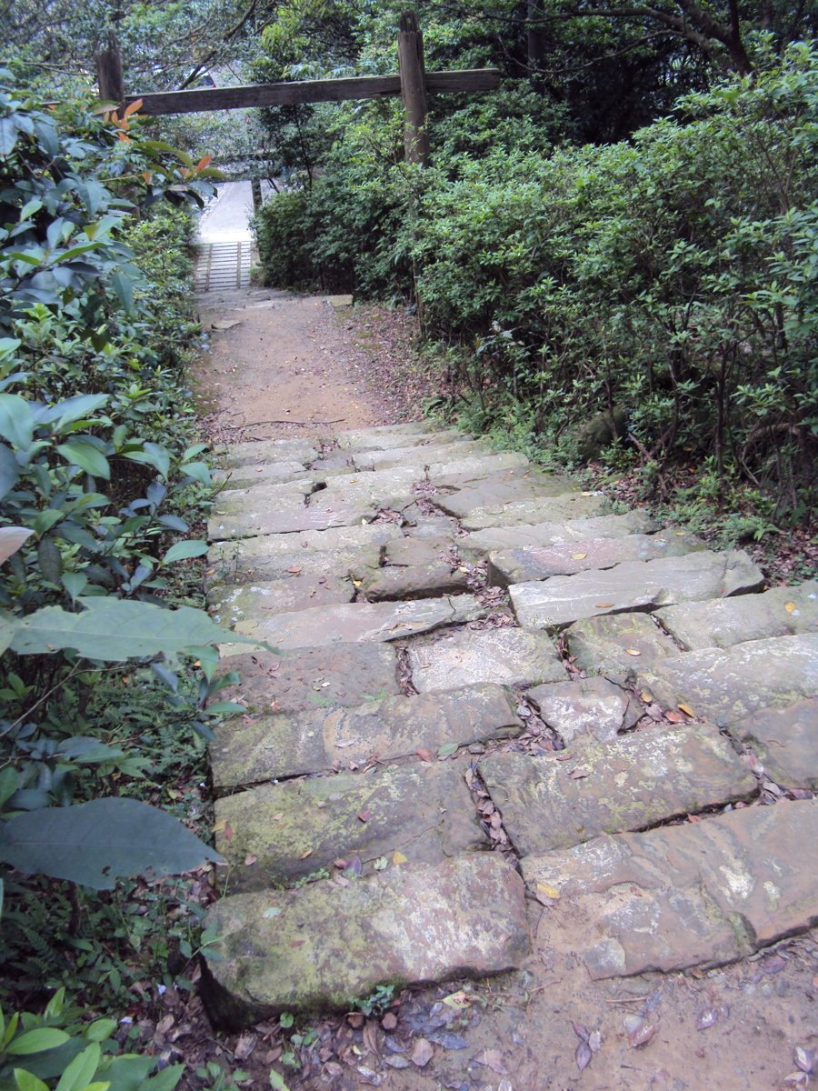 DSC05100.JPG - 再訪  侯硐神社