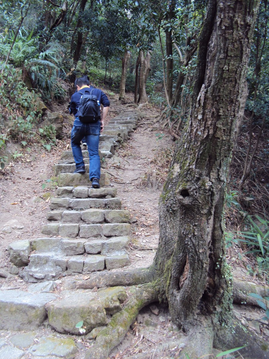 DSC06664.JPG - 內湖  金面山步道