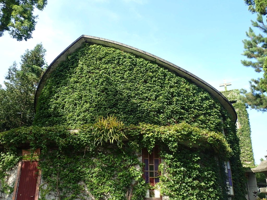 P8120327.JPG - 花蓮  新城神社遺跡