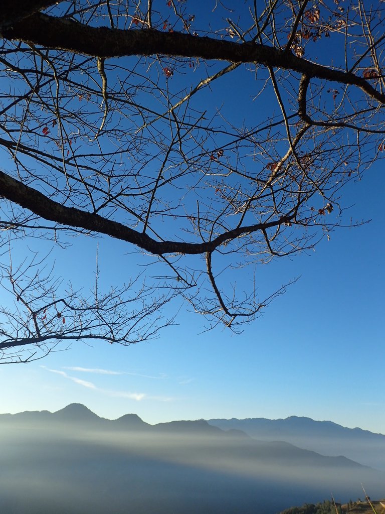 PC131942.JPG - 清境農場  晨光之美