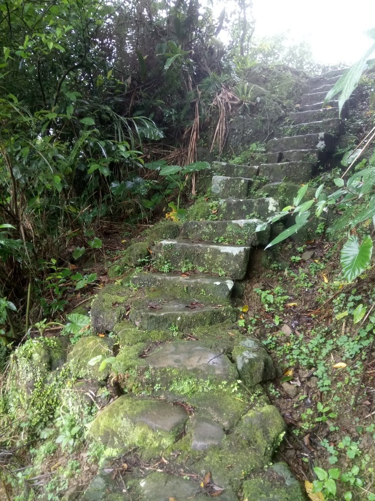 DSC_8452.JPG - 深坑  炮子崙登山步道