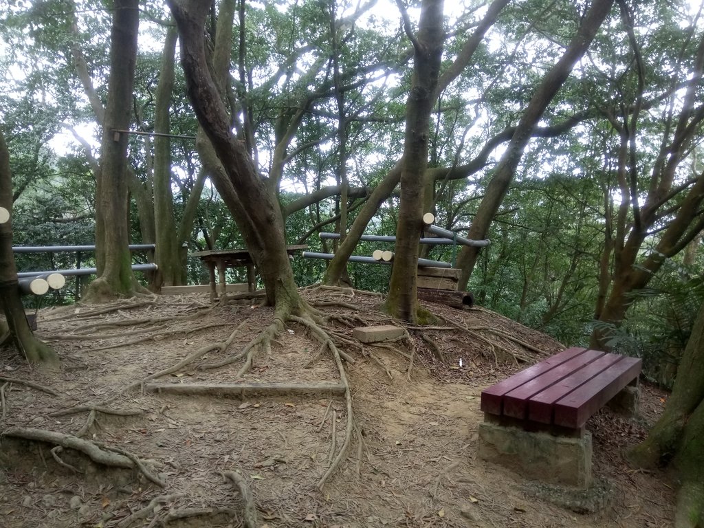 DSC_5148.JPG - 三峽  鳶尾山登山步道