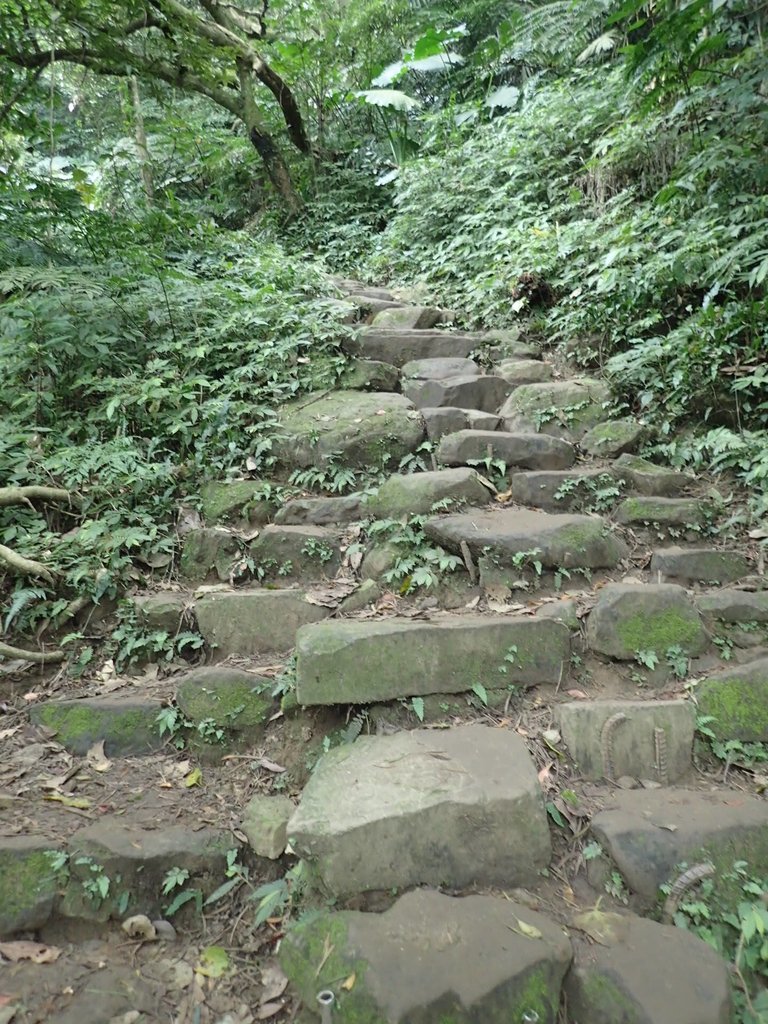 P2107483.JPG - 大溪  溪洲山登山步道