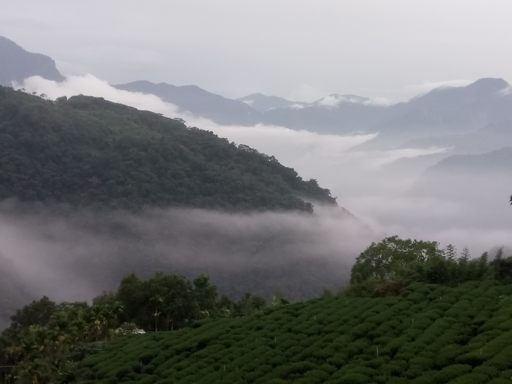 DSC_1382.JPG - 石壁途中之   茶山雲雨