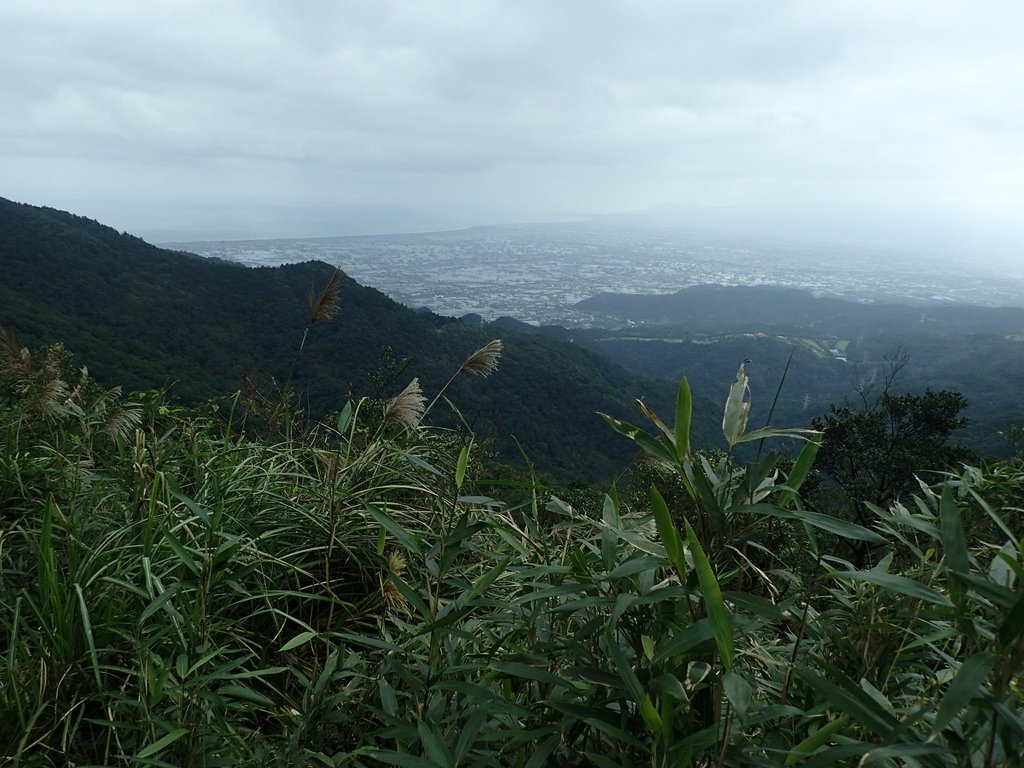 PB159014.JPG - 礁溪  聖母登山步道  (抹茶山)