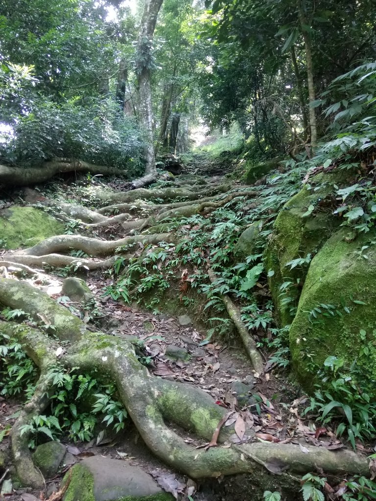 DSC_2107.JPG - 大湖  馬那邦山  (02)