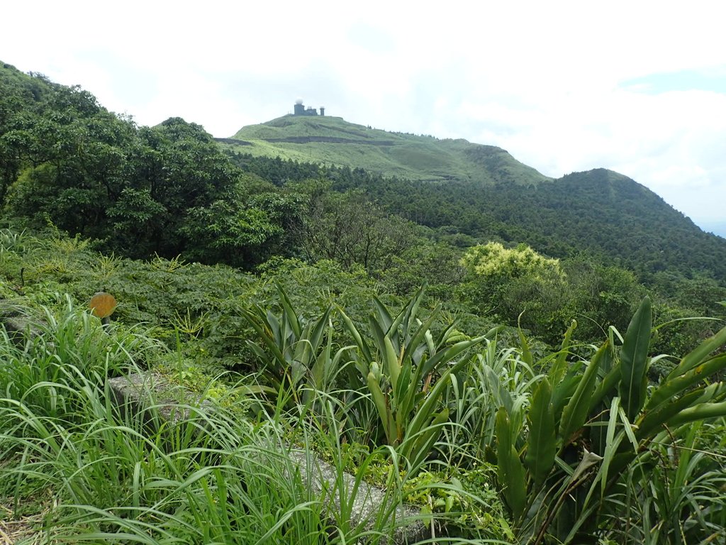 P7203890.JPG - 瑞芳  五分山登山步道