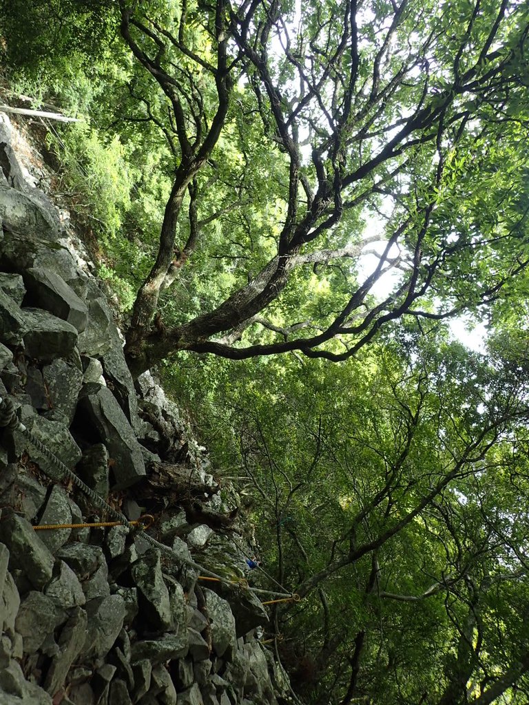 P5012302.JPG - 谷關七雄之  波津加山