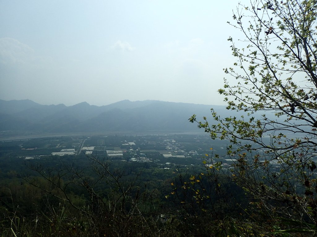 P3016080.JPG - 草屯平林  九九峰森林步道