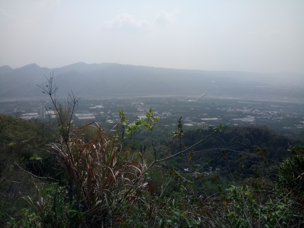 DSC_7311.JPG - 草屯平林  九九峰森林步道