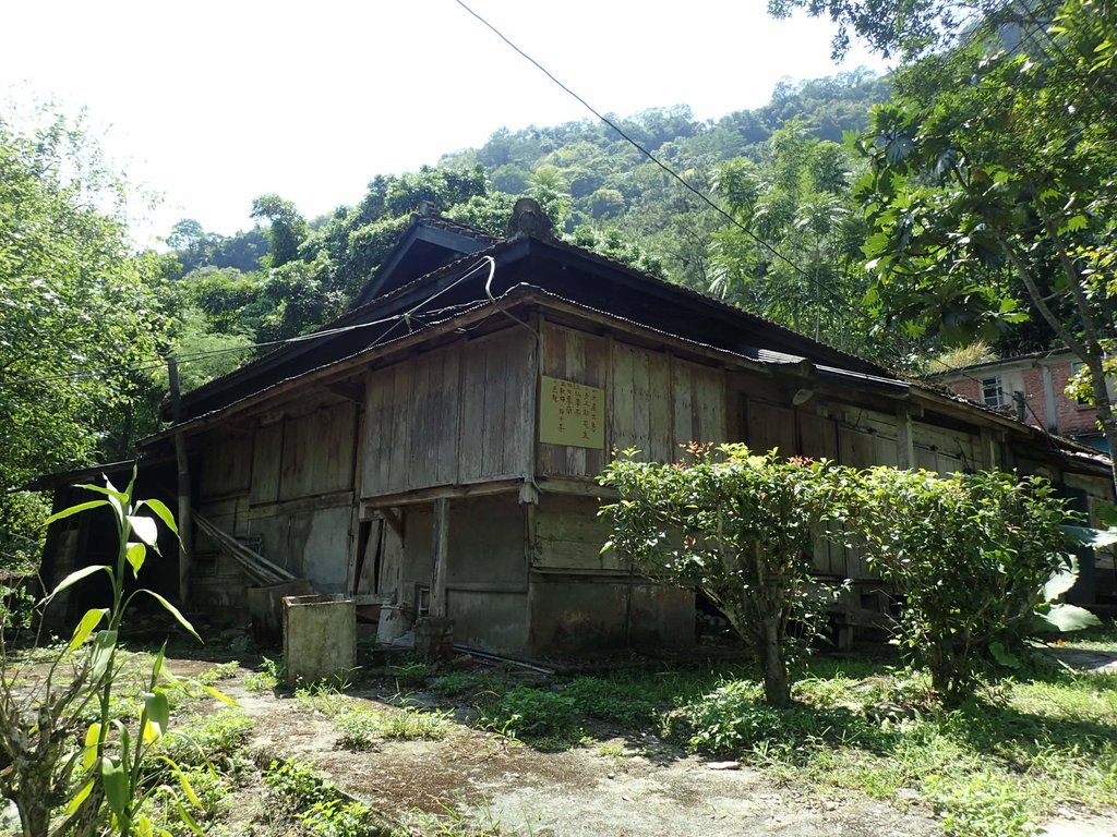 P9087875.JPG - 花蓮  鳳林  林田山林業文化園區