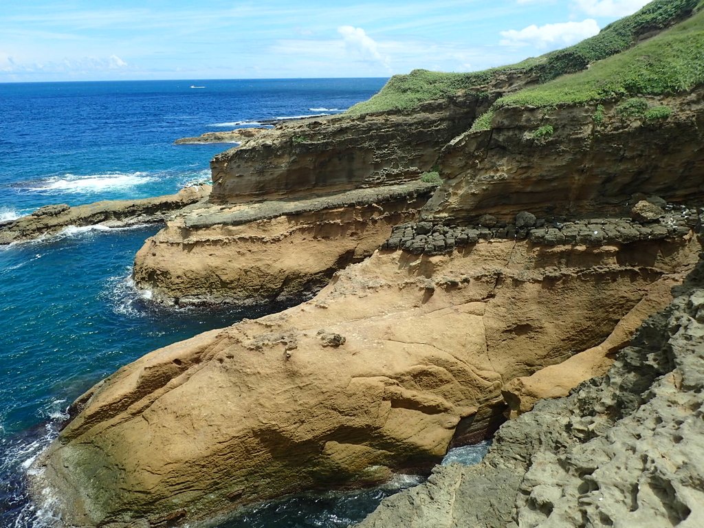 P8317675.JPG - 瑞芳  金石園  海岸岩石之美