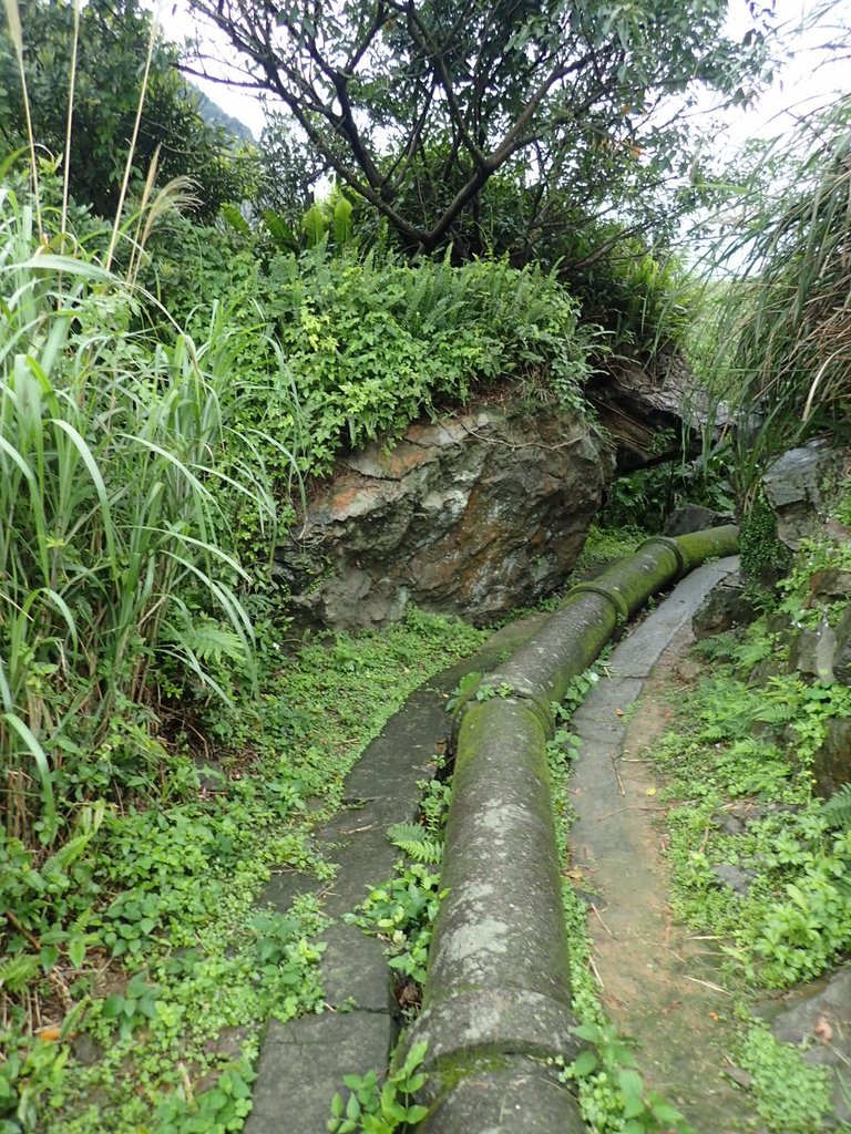 P3240577.JPG - 金瓜石之  內九份溪圳橋