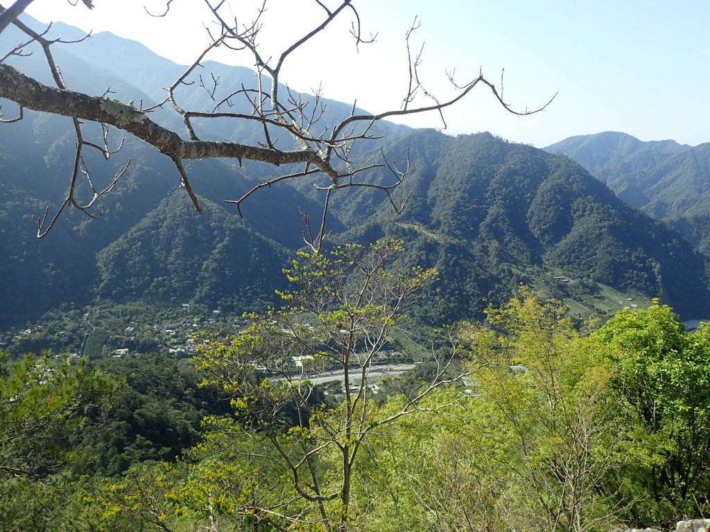 P3167166.JPG - 谷關  東卯山東南稜