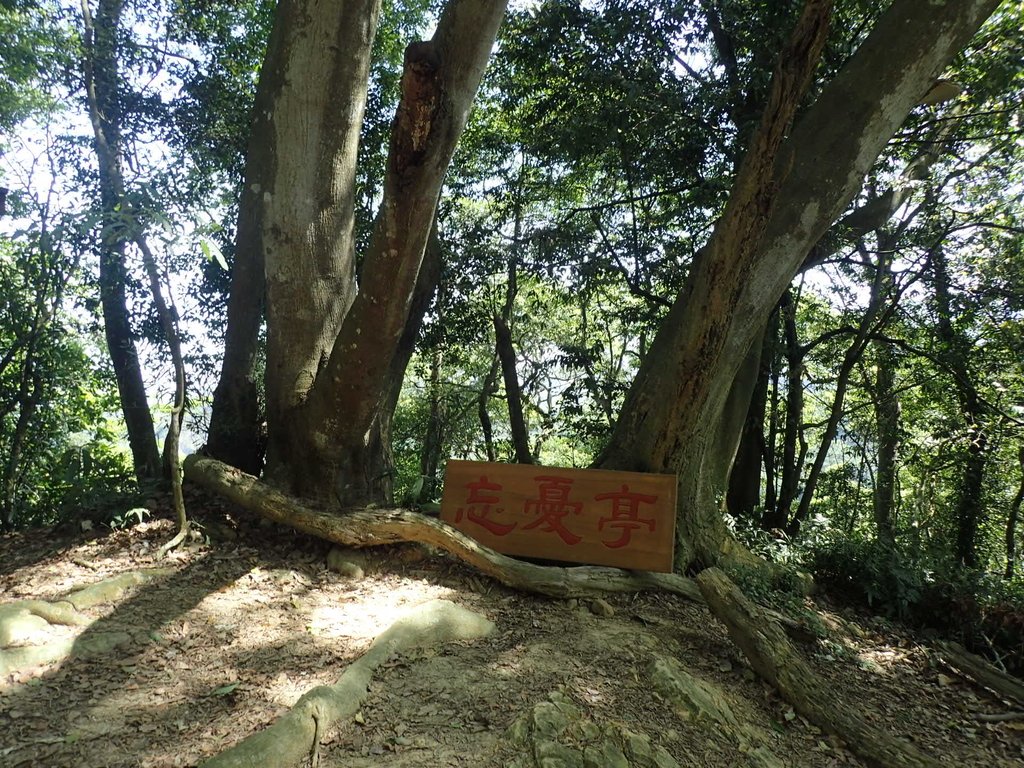 P4161416.JPG - 霧峰  青桐林生態園區