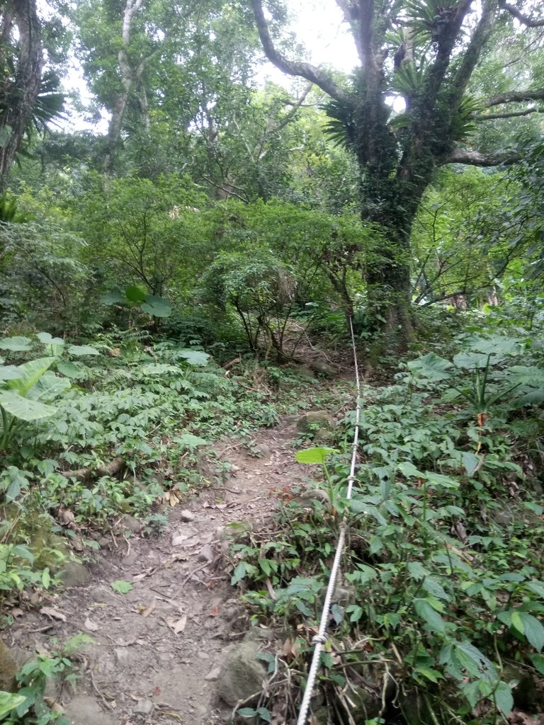 DSC_1005.JPG - 新竹  五指山登山步道