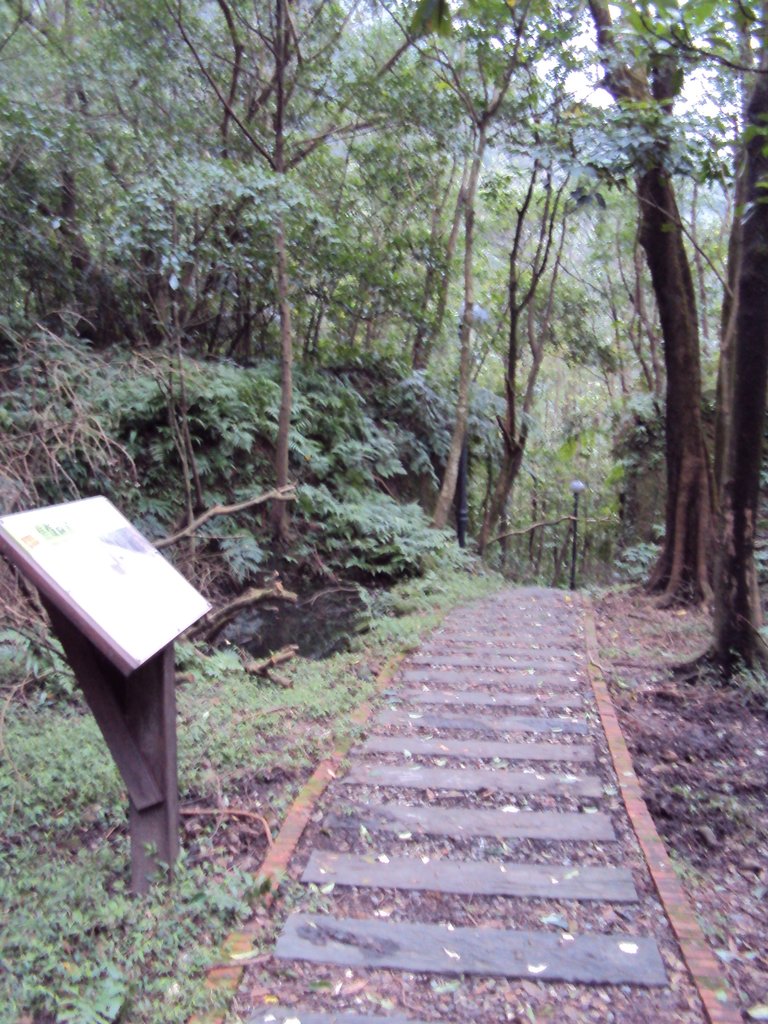 DSC03322.JPG - 瑞芳  粗坑口登山步道