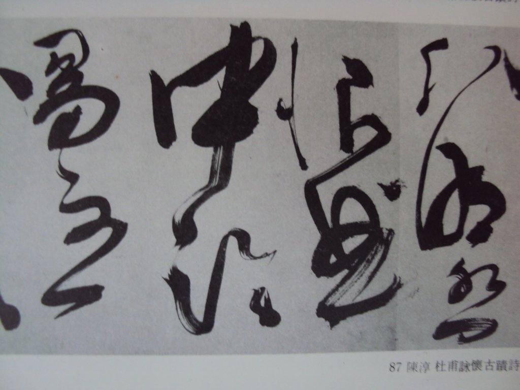 DSC09988.JPG - 陳淳的草書作品