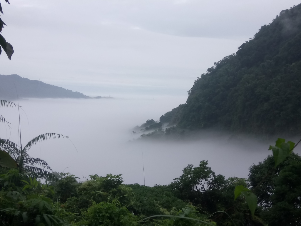 DSC_1131.JPG - 古坑  草嶺  雲山繚繞