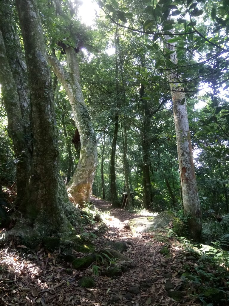 DSC_2110.JPG - 大湖  馬那邦山  (02)