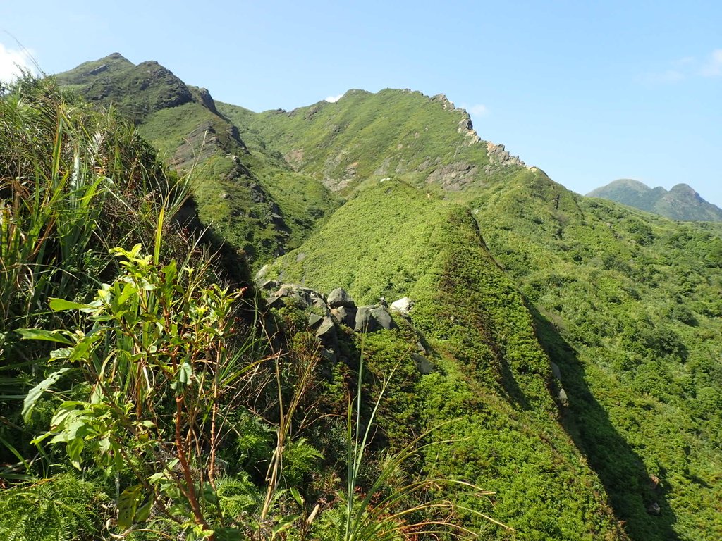 PA104840.JPG - 秋晴  南子吝山  登龍尾坪