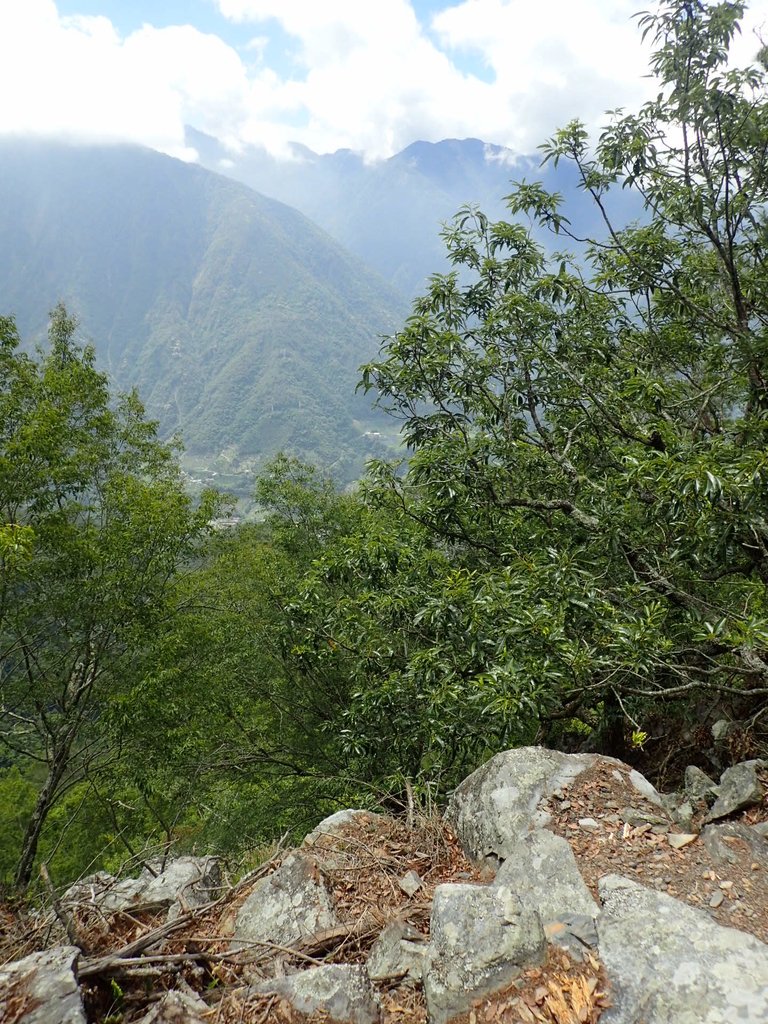 P5012336.JPG - 谷關七雄之  波津加山