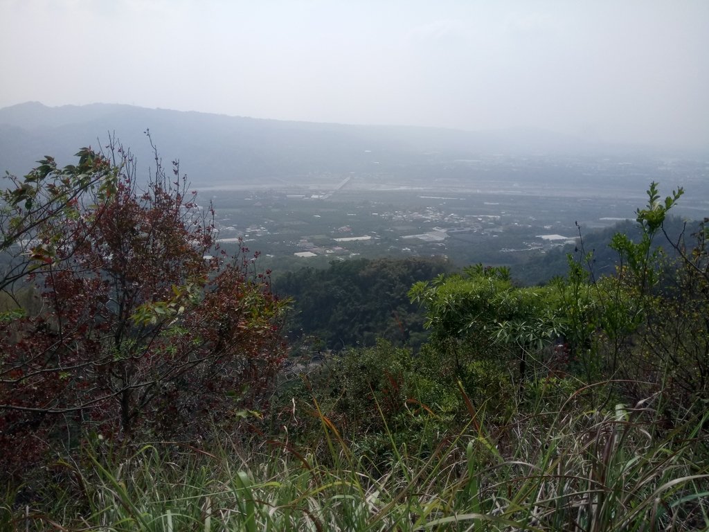 DSC_7316.JPG - 草屯平林  九九峰森林步道