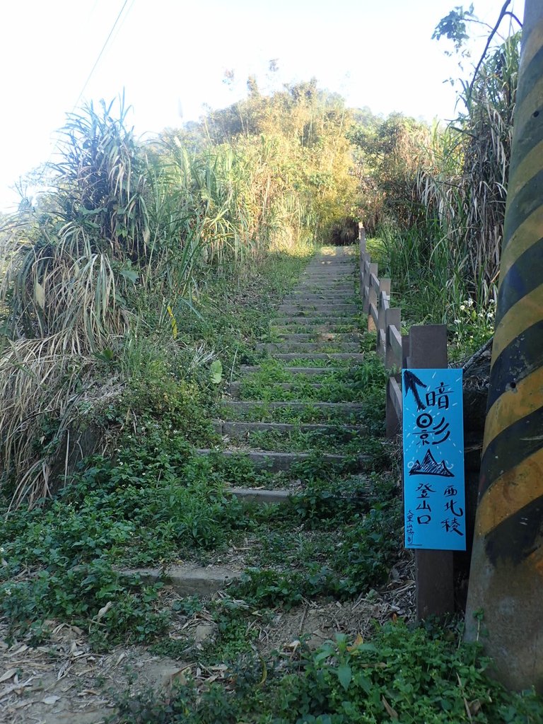 P2276020.JPG - 太平  暗影山(酒桶山)