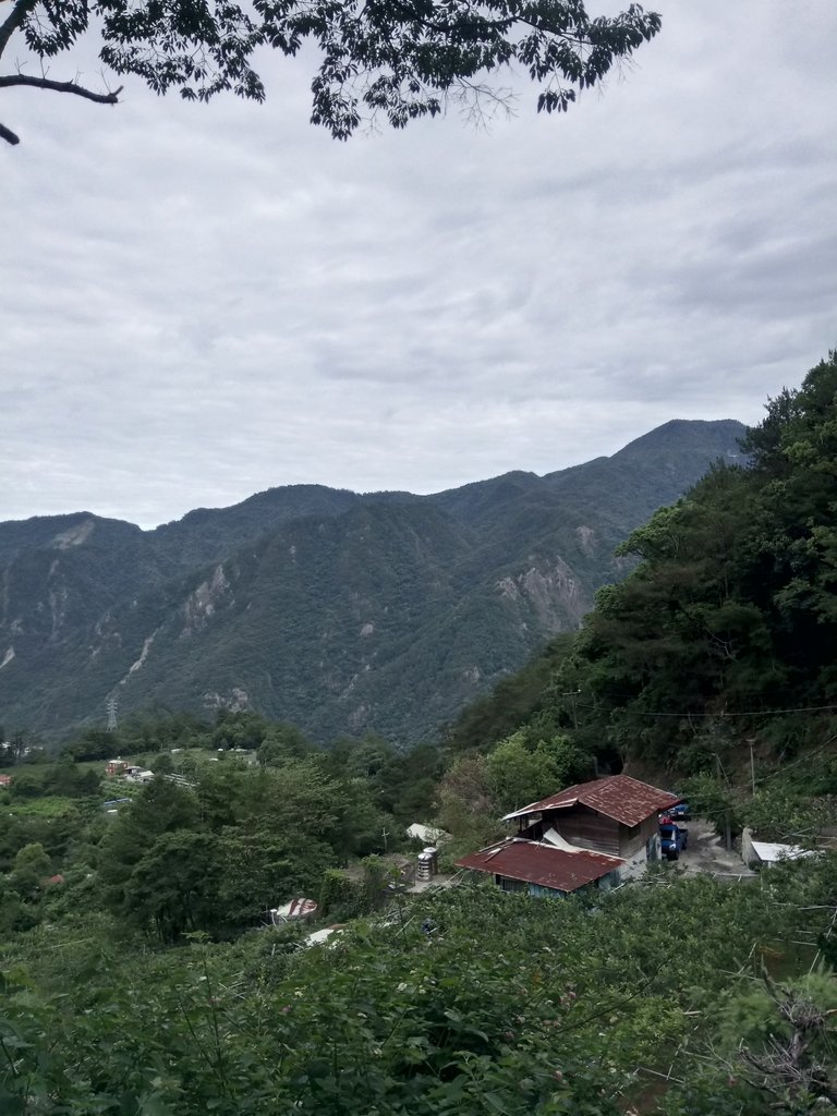 DSC_9886.JPG - 谷關  斯巴可步道