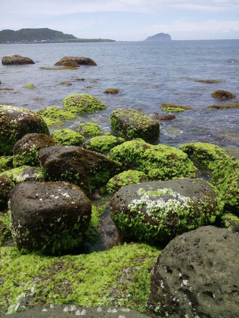 DSC_1763.JPG - 瑞芳  深奧神秘海岸之美