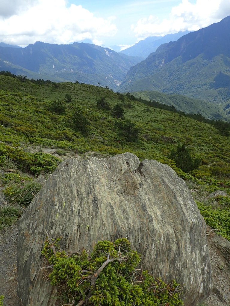 P7246048.JPG - 合歡山  北峰之美  (下)