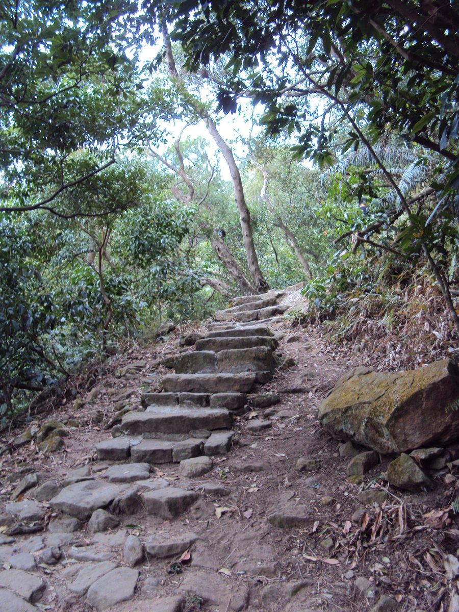 DSC06665.JPG - 內湖  金面山步道