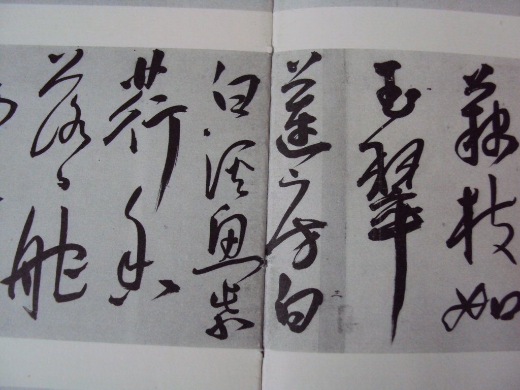 DSC00208.JPG - 王寵  草書作品